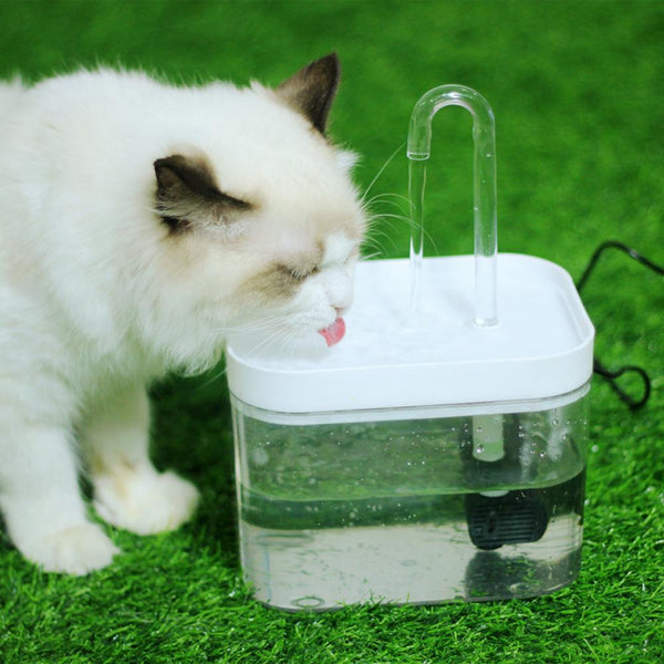 Feeding PET Automatic Intelligent Vertical Pet Water Dispenser Pet Product